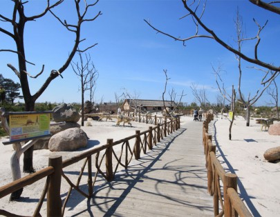 Słowiński Park Narodowy - Łeba 